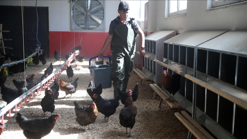 8 ayda 150 bin liralık ciro