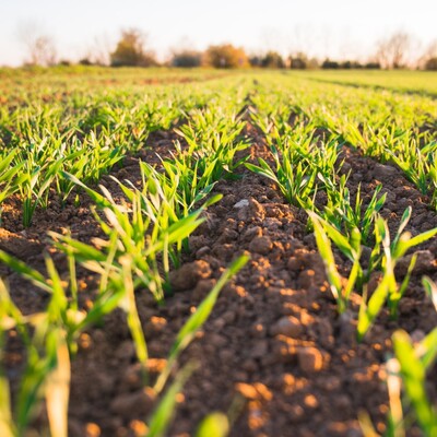 Tarımda üretici enflasyonu yüzde 156