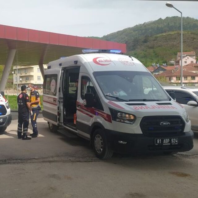 Kestane toplarken ayı saldırısına uğradı