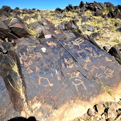 Heyecan verici keşif... Gobi Çölü'nde Türk izi!