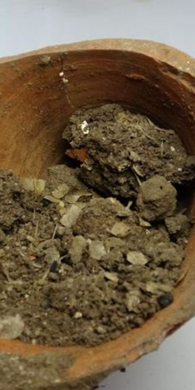 1600 yıllık balık kılçığı ve pulları bulundu!