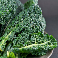 Kalın bağırsak kanserine karşı koruyucu kalkan! Bu bitki bağırsakları çalıştırarak kabızlığı engelliyor