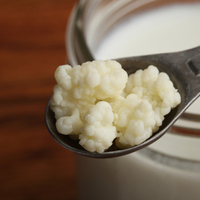 Hamileler kefir içebilir mi, zararlı mı faydalı mı?