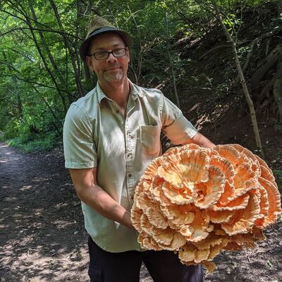 Doğada bulup sosyal medyada paylaştılar