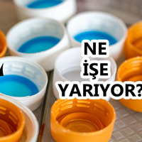 Bu saydam tabaka ne işe yarıyor?