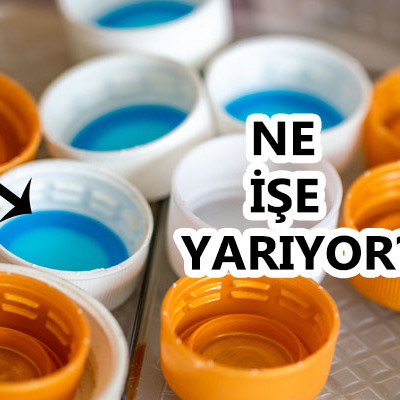 Bu saydam tabaka ne işe yarıyor?