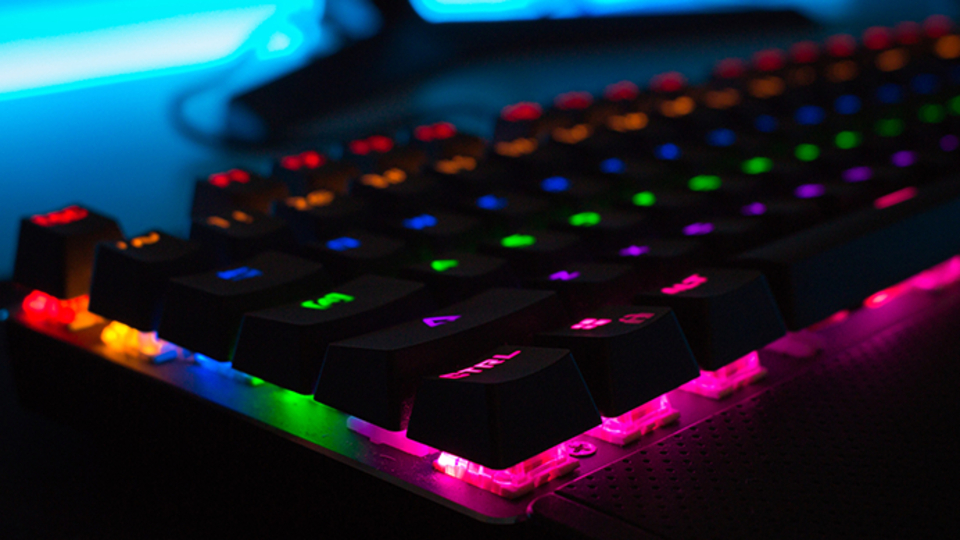 Klavyeye girdiğiniz tüm bilgiler...