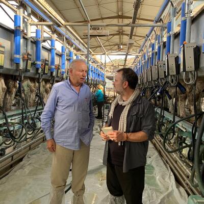 Sütü ve eti daha pahalıya tüketeceğiz