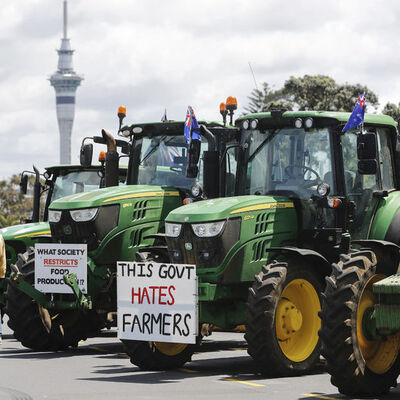 Hayvanların çıkardığı gazlara vergi planına protesto
