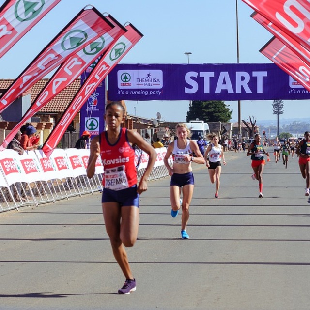 Hisse fonlarının tarihi koşusu