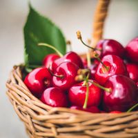 Kiraz kilo aldırır mı?