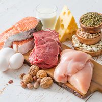 Protein içeren besinler neler?