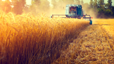 Tarımsal girdi fiyatlarında rekor artış