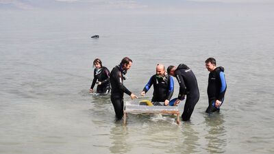 3.5 metre derinlikte, Marmara Denizi'nde keşfedildi!