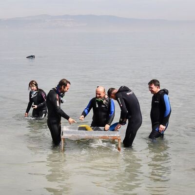 3.5 metre derinlikte, Marmara Denizi'nde keşfedildi!