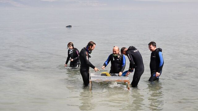 3.5 metre derinlikte, Marmara Denizi'nde keşfedildi!