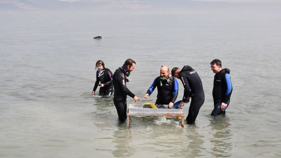 3.5 metre derinlikte, Marmara Denizi'nde keşfedildi!