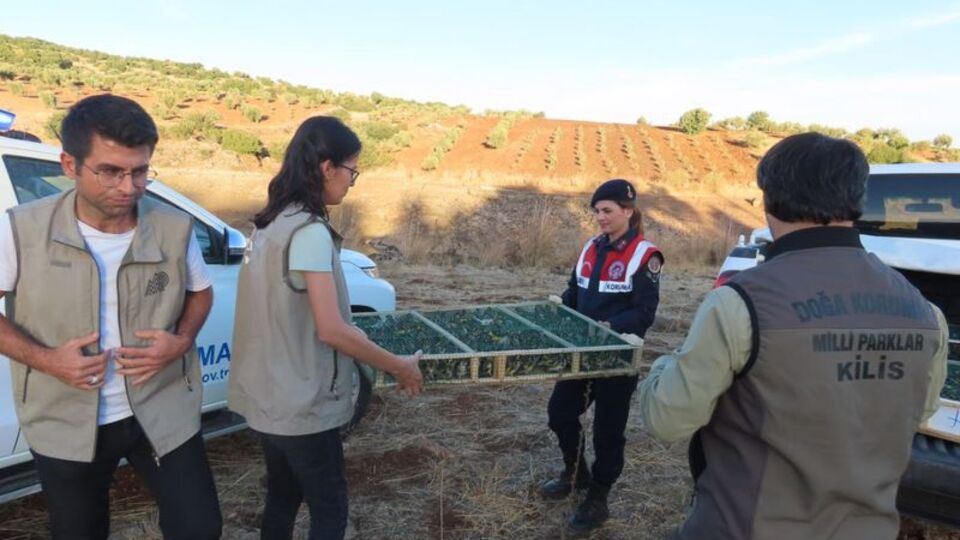 Sınırda ele geçirildi, rekor ceza!