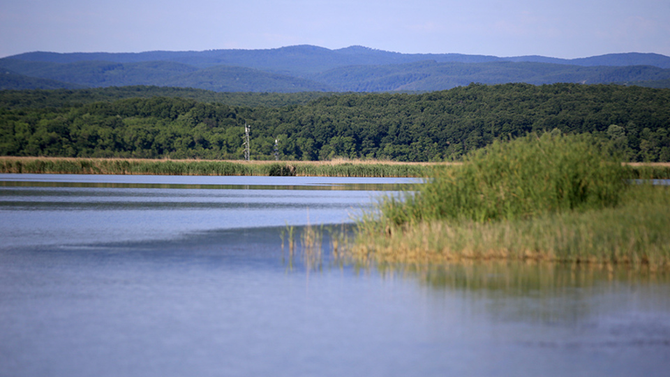 Deniz, doğa ve tarihin bütünleştiği kent