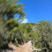 Muğla'da ormanda kadın cansız bedeni bulundu