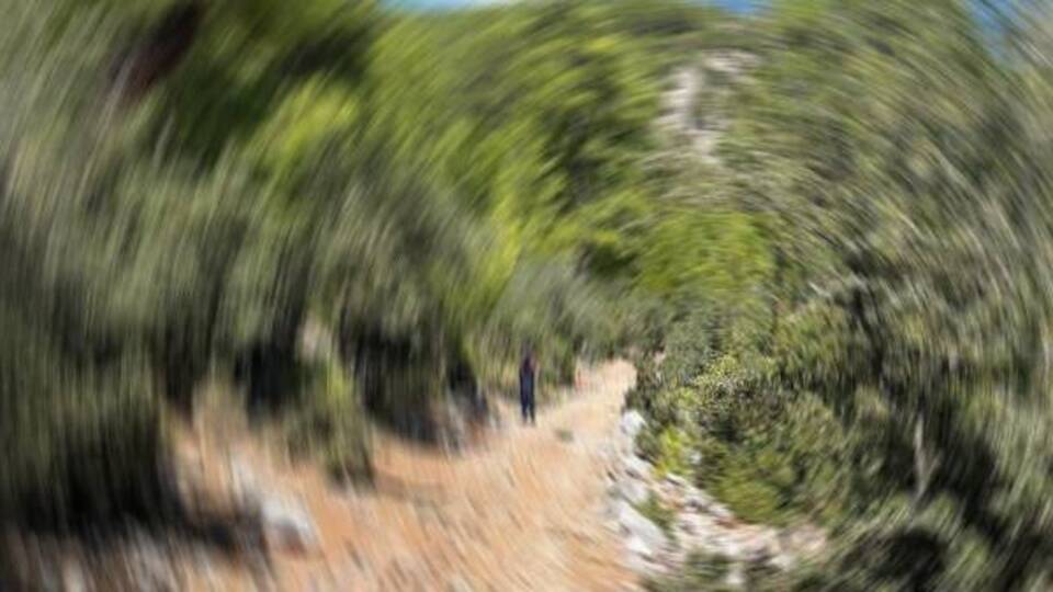 Muğla'da ormanda kadın cansız bedeni bulundu