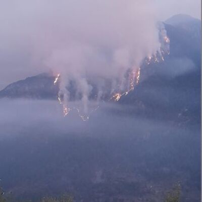 Osmaniye'de 3'üncü gün! Yangın sürüyor!