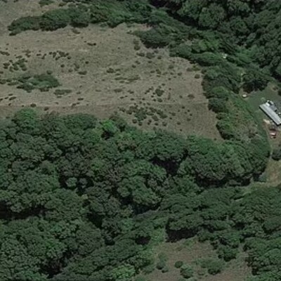 ABD'de "Babam bir seri katildi" itirafı alarma geçirdi