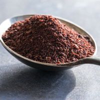 Sumak nerelerde, hangi yemeklerde kullanılır?