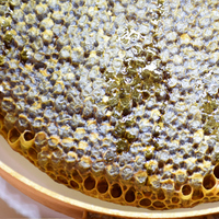 Propolis nasıl kullanılır?