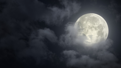 Rüyada asma yaprağı görmek ne anlama gelir?