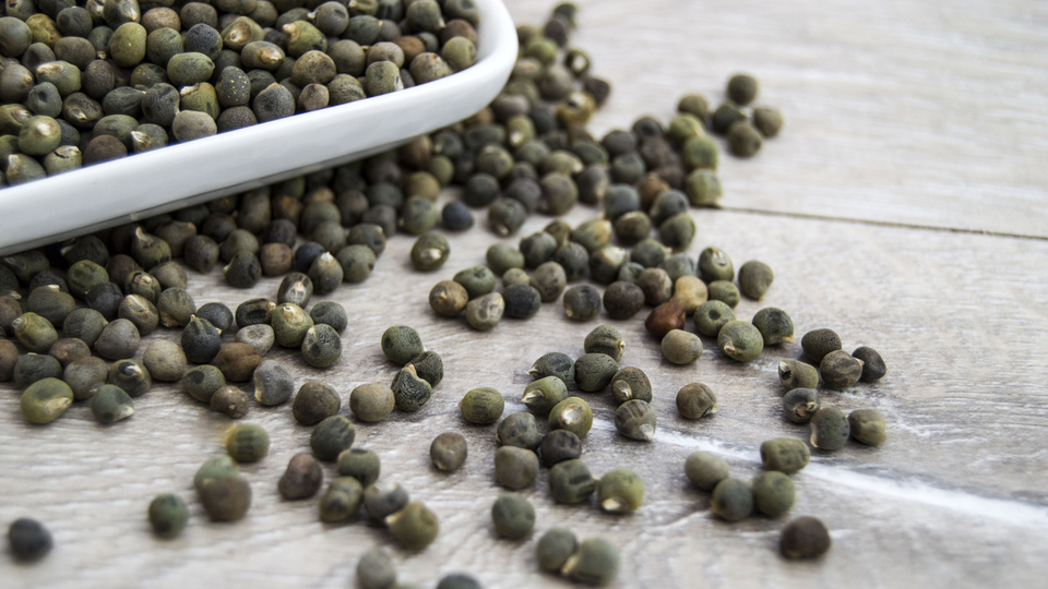 Bamya tohumu nasıl kullanılır, zayıflatır mı?