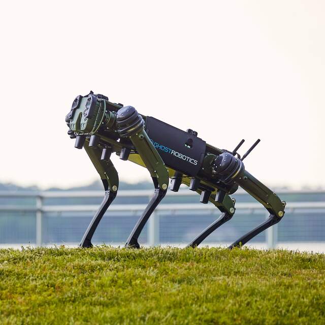 Robot köpek Türkiye'de
