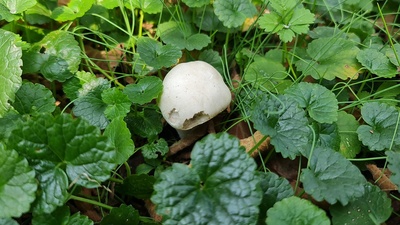 O ilde 23 kişi zehirlendi, yetkililerden uyarı geldi!