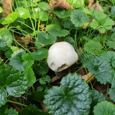 O ilde 23 kişi zehirlendi, yetkililerden uyarı geldi!