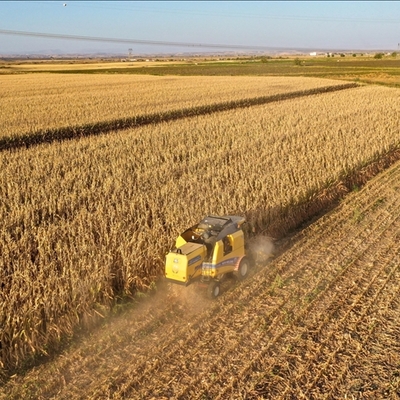 Rusya tahıl çıkışı anlaşmasını askıya aldı
