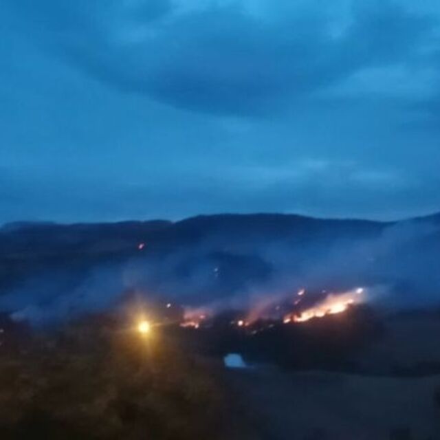 İzmir'deki yangın kontrol altında