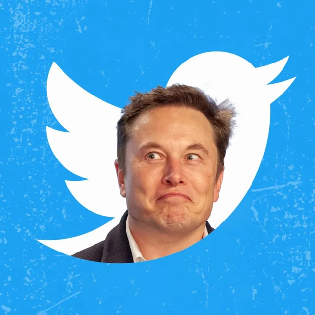 Musk'ın kuşu nasıl uçacak?