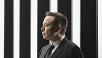 Musk, mavi tik ücretini açıkladı!
