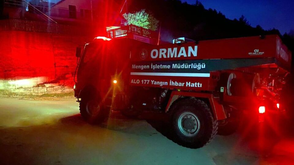 Yedigöller yolundaki yangın kontrol altında