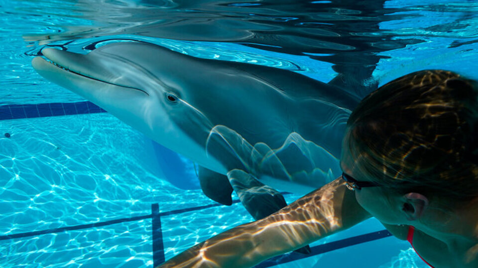 Teknolojinin geldiği nokta!