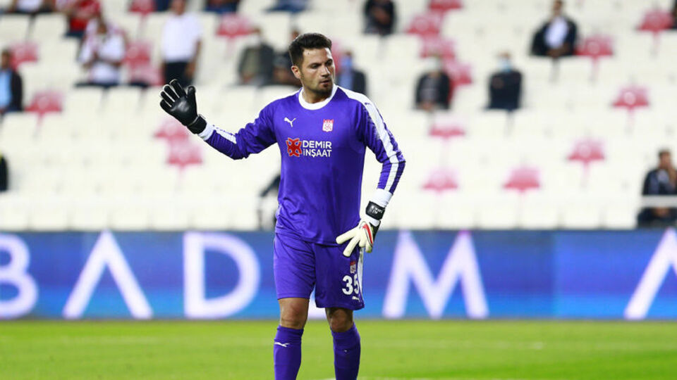 Ali Şaşal, Avrupa'da zirvede