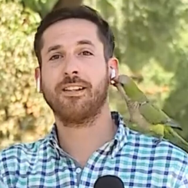Muhabir kuş tarafından 'kapkaça' uğradı