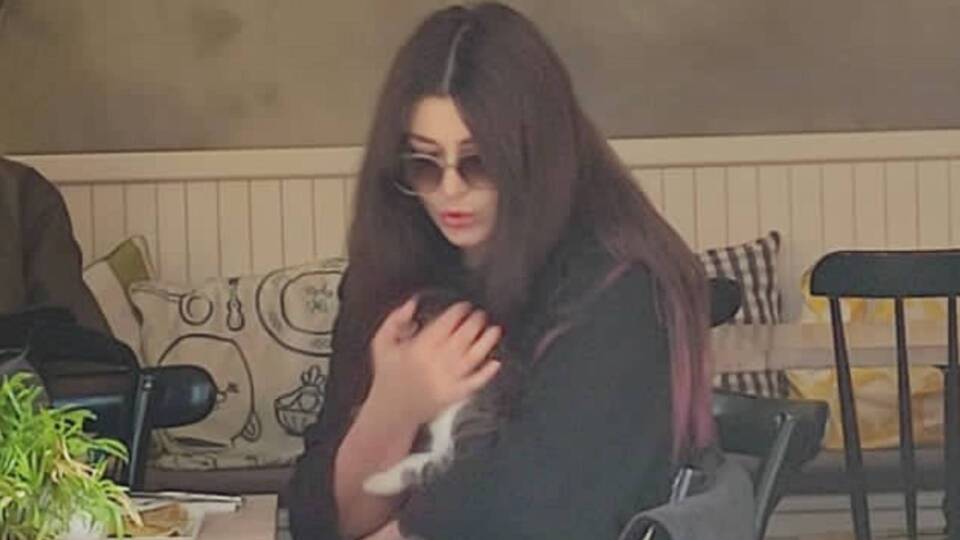 Deniz Çakır'ın kedi sevgisi