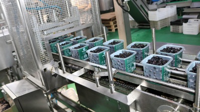 Marmarabirlik ürün alım fiyatlarını güncelledi