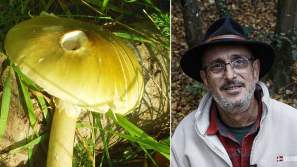 Mantar zehirlenmesinde can kaybı 4 oldu! Mikolog Jilber Barutçiyan: "50 gramı öldürür!"