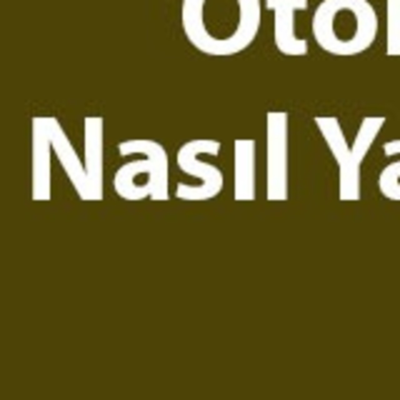 Kişisel İzler: Otobiyografinin Gizemli Dünyası
