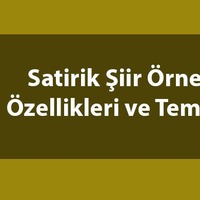 Satirik şiir nedir, ne demek ve özellikleri neler?