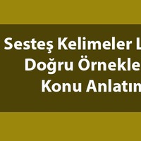 Sesteş kelimeler nelerdir?