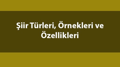 Şiir türleri ve anlamları