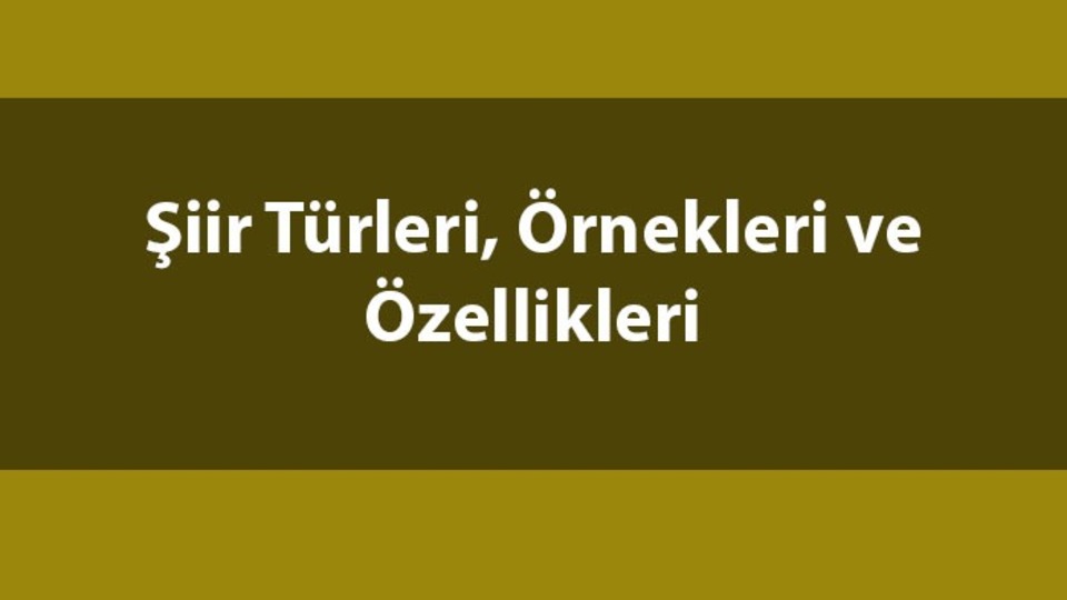 Şiir türleri ve anlamları